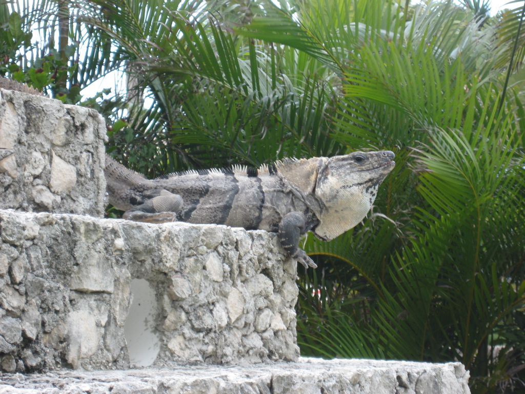 IMG_1643.JPG