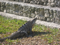 IMG_1548.JPG