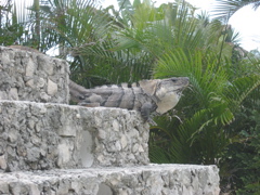IMG_1641.JPG