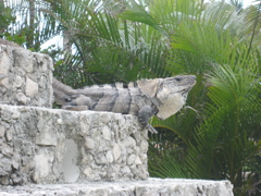 IMG_1643.JPG
