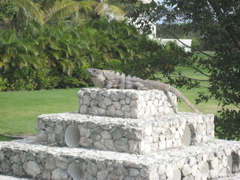 IMG_1691.JPG