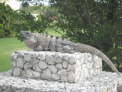 IMG_1693.JPG
