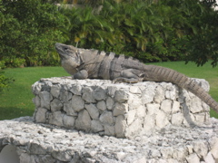IMG_1696.JPG