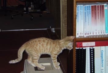 image/s0242-oliver-librarian.jpg, 15.4K