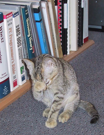 image/s0204-shieldeyesfromdos.jpg, 43.1K