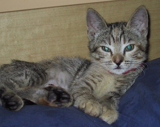 image/s0213-claudia.jpg, 45.4K