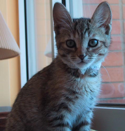 image/s0220-wandaport9wks.jpg, 35.2K