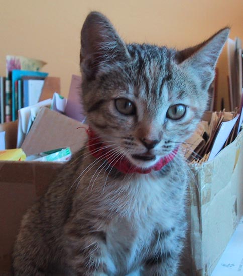 image/s0221-claudiaport9wks.jpg, 42.3K