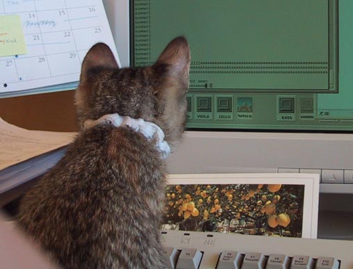 image/s0226-wandakeywindow.jpg, 34K