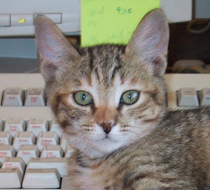 image/s0228-wandanowhiskers.jpg, 30.3K