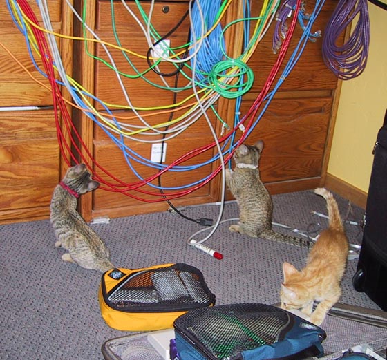 image/s0230-officehelp.jpg, 89.6K