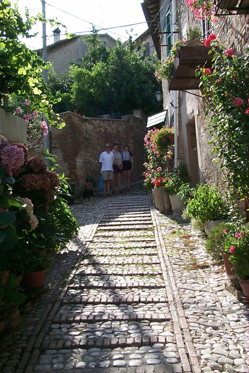image/995-montefalco-street.jpg, 512 x 768, 167.1K