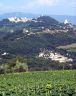 image/_938-todi.jpg, 76 x 96, 2.8K