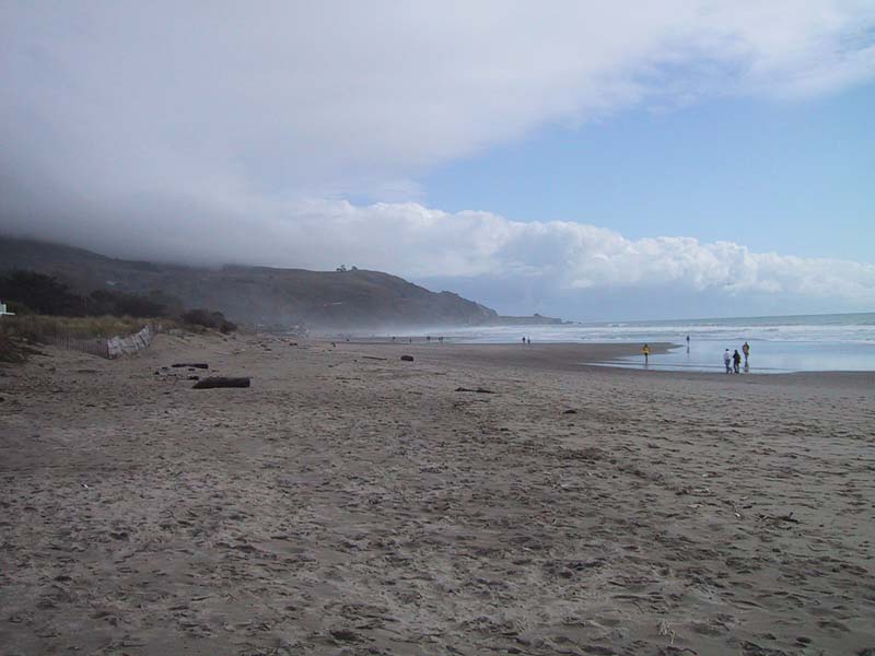 image/s0106-stinson.jpg, 61.8K