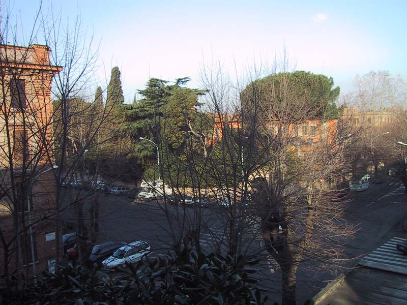 image/s0165-ellenbalcony.jpg, 109.6K