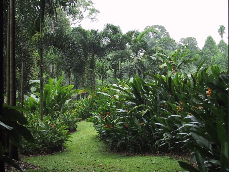 image/s0183-sgbirdofparwalk.jpg, 146.3K