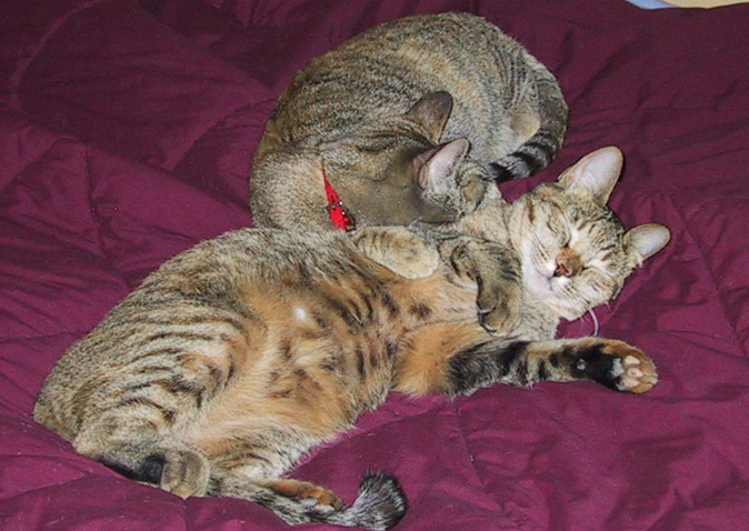 image/0197-wandaclaudiasleep.jpg, 106.5K