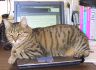 image/_0178-tinaonlaptop.jpg, 2.9K